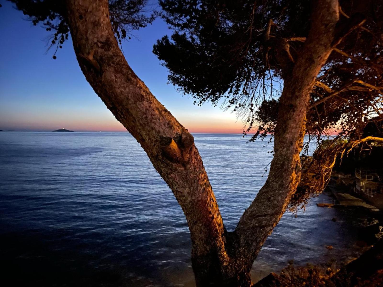 Vacances Bord De Mer - Appartement Sanary Sur Mer Esterno foto